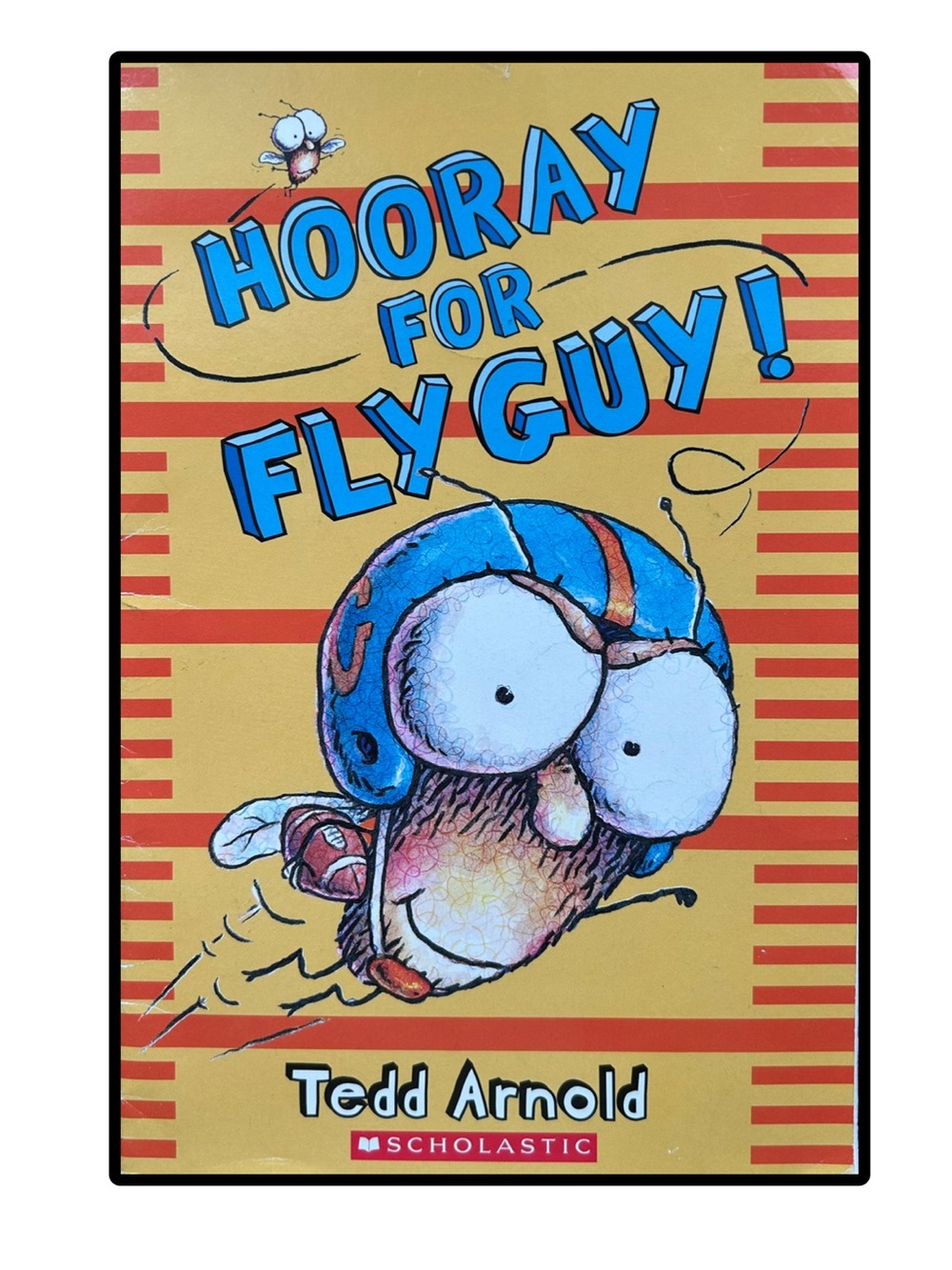 BUNDLE & SAVE 🪰 Hooray for Fly Guy by Tedd Arnold